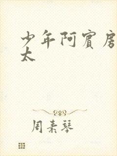 少年阿宾房东太太