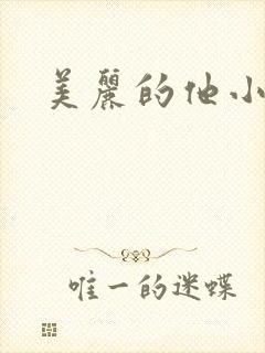 美丽的他小说