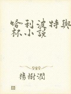 哈利波特与火焰杯小说