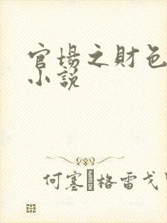 官场之财色诱人小说