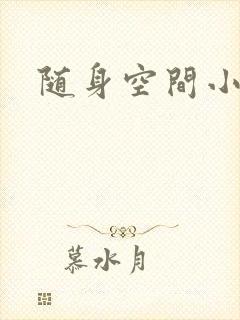 随身空间小说封面