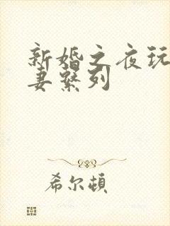 新婚之夜玩弄人妻系列封面