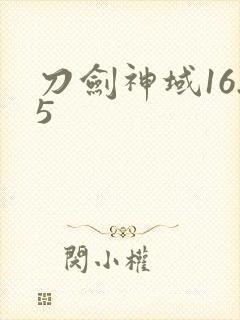 刀剑神域16.5封面