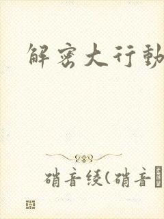 解密大行动