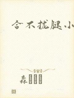 合不拢腿小说封面