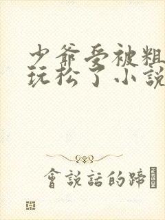 少爷受被粗汉H玩松了小说