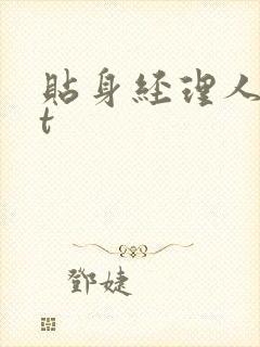 贴身经理人txt封面