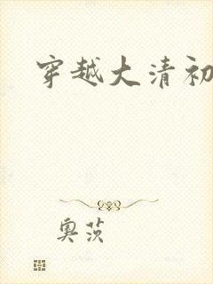 穿越大清初年封面