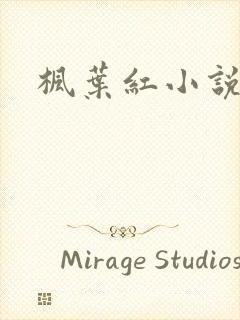 枫叶红小说
