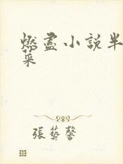 燃尽小说半截白菜封面