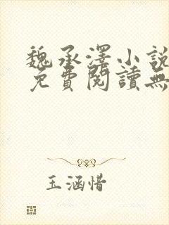 魏承泽小说全文免费阅读无弹窗笔趣