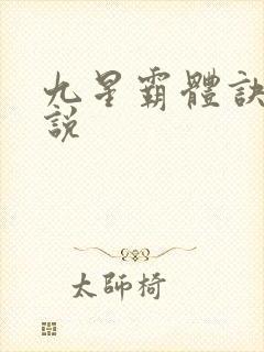 九星霸体诀 小说