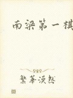 南梁第一棋手封面