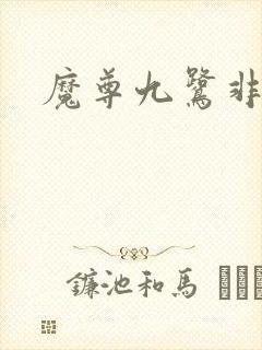 魔尊九鹭非香