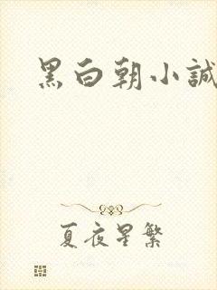 黑白朝小诚封面
