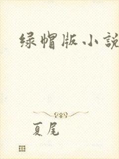 绿帽版小说