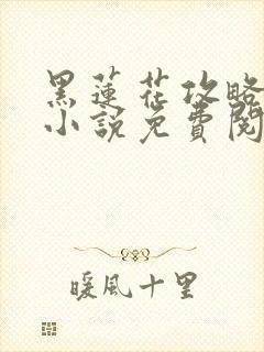 黑莲花攻略手册小说免费阅读全文