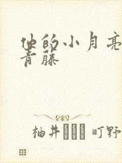 他的小月亮by青藤