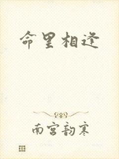 命里相逢封面