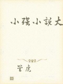 小强小说大全封面