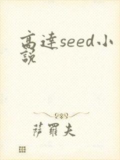 高达seed小说封面