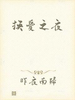 换爱之夜封面