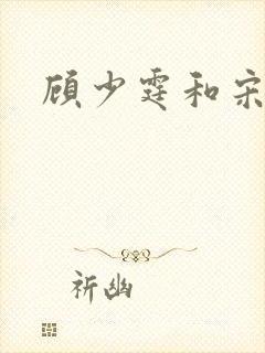 顾少霆和宋斯曼