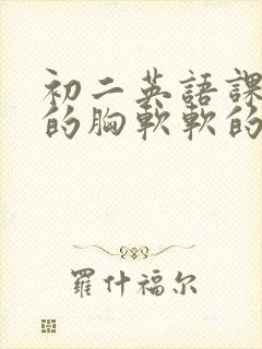 初二英语课代表的胸软软的