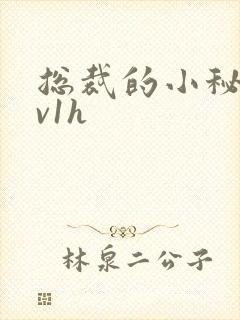 总裁的小秘书1v1h