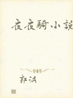 夜夜骑小说