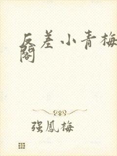 反差小青梅笔趣阁封面