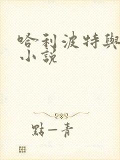 哈利波特与密室小说