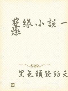 孽缘小说一家乱炖