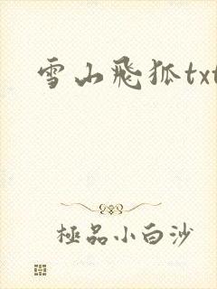 雪山飞狐txt