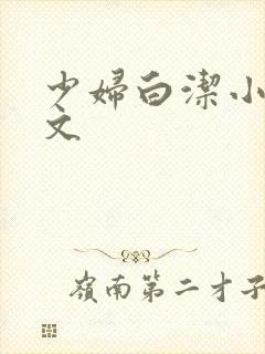 少妇白洁小说全文