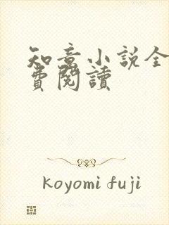 知意小说全文免费阅读封面