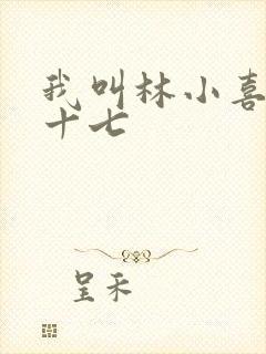我叫林小喜今年十七封面