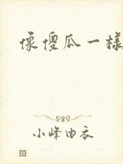 像傻瓜一样去爱封面