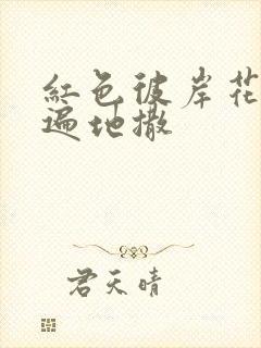 红色彼岸花花瓣遍地撒