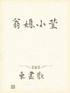 翁媳小莹封面