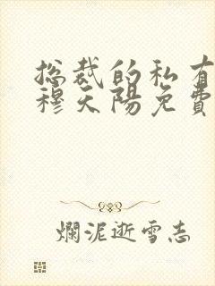 总裁的私有宝贝穆天阳免费封面