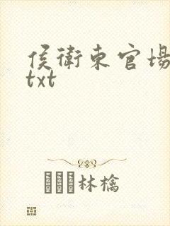 侯卫东官场笔记txt