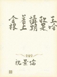 含着摄政王的紫根上朝是啥小说封面