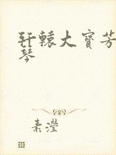 轩辕大宝芳菲雅琴