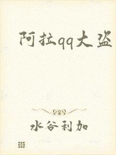 阿拉qq大盗封面