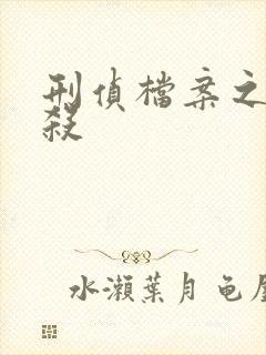 刑侦档案之血谜杀封面