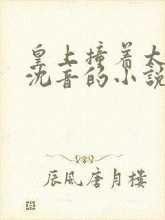 皇上撞着太子妃沈音的小说叫什么