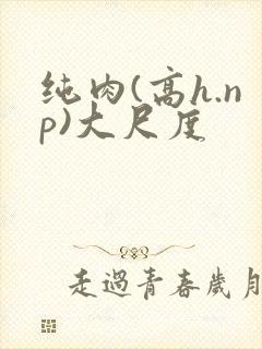 纯肉(高h.np)大尺度
