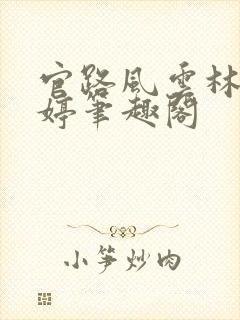 官路风云林海姜婷笔趣阁