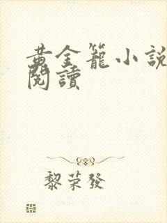 黄金笼小说免费阅读